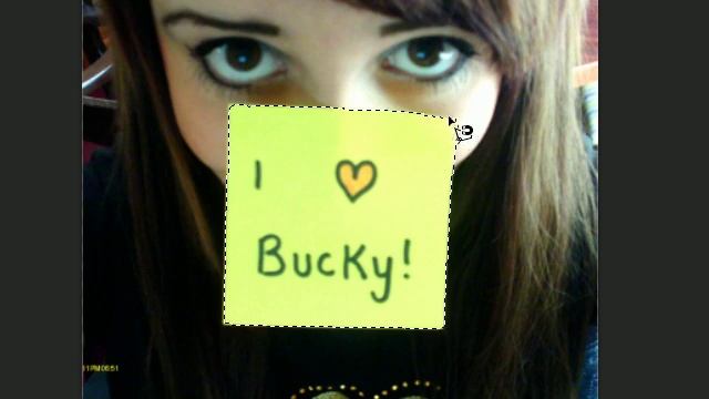 Photoshop Tutorial - 15 - Magnetic Lasso Tool смотреть онлайн