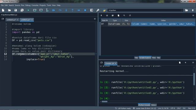 Pemrograman Python - Library Pandas - Rename & Ambil Kolom смотреть онлайн