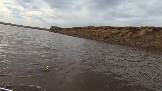 Обские щуки-монстры ломающие спиннинги, рыбалка на крокодилов. Обь, сентябрь. смотреть онлайн