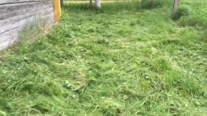 ПОКОС ТРАВЫ ЭЛЕКТРОКОСОЙ. КОСА СЕКАЧ БОБЕР ИЛИ КАК ПОКОСИТЬ ТРАВУ, ЕСЛИ НЕТ БЕНЗОКОСЫ.