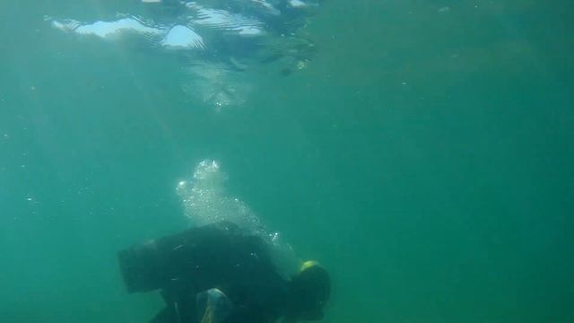 море рапан июль смотреть онлайн