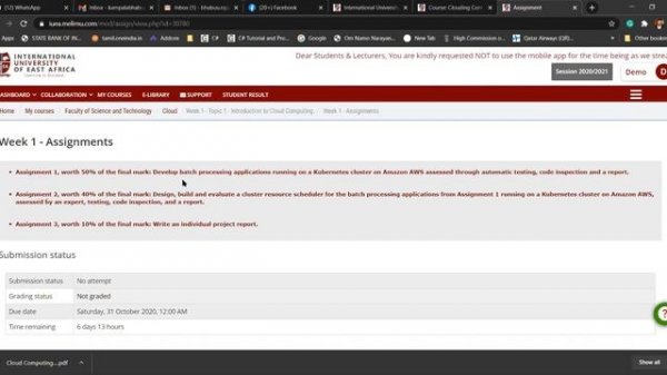 IUEA Online Exam Training