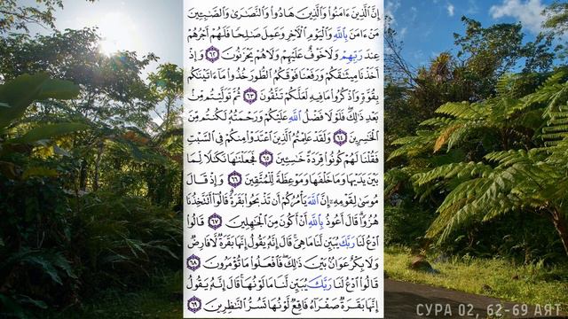 Коран. Сура 2 аль Бакара 62 -69 аят смотреть онлайн