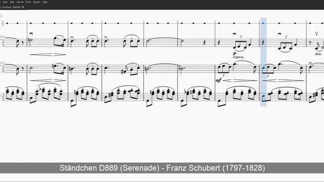 Serenade - Schubert - Level 1 Metronome + Violin Solo + Strings смотреть онлайн