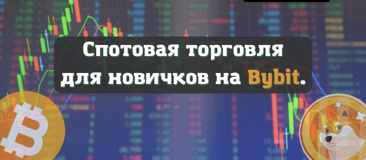 ОБУЧЕНИЕ ТОРГОВЛИ НА BYBIT С НУЛЯ | ОТ А ДО Я смотреть онлайн