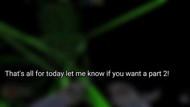 Best free roblox mobile executors! смотреть онлайн