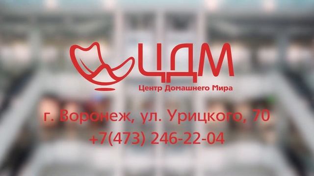 ООООГРОМНЫЙ ТЦ ЦДМ ПРИГЛАШАЕТ ЗА ПОКУПКАМИ! смотреть онлайн