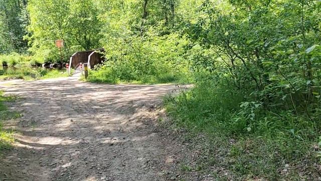 Прогулка по Экологической тропе "Гряда Вярямянселькя" смотреть онлайн