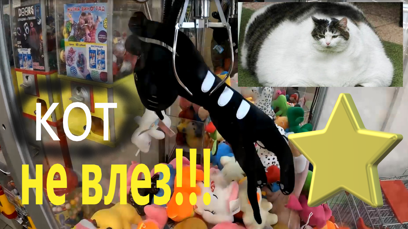Выиграл ОГРОМНОГО кота, но он НЕ ВЛЕЗ в автомат-хватайку!!! Как его достать? смотреть онлайн