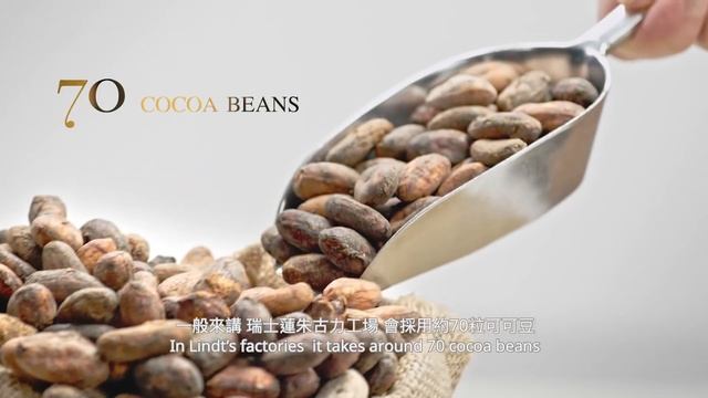 How many beans are needed for producing a 100g Lindt Excellence 70% chocolate bar? смотреть онлайн