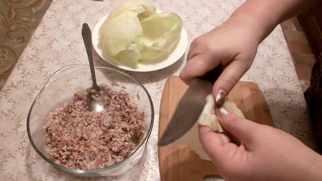 Наука о Животных и их Поведение