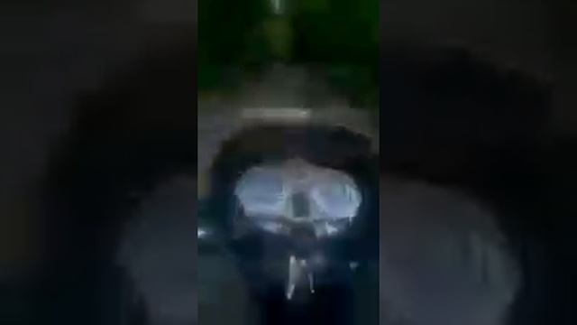 По лiсi на Musstang mt 150-5 смотреть онлайн