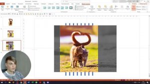 Как вырезать из фото различные элементы в Power Point