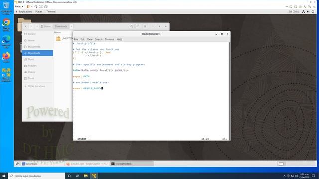 Como instalar Oracle Database 19c en linux OEL79 Parte3 смотреть онлайн