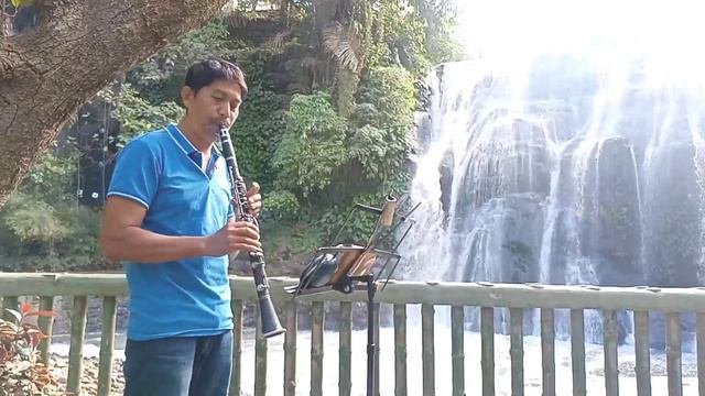 Wave/Fly me to the moon/What a wonderful word- Clarinet cover by Ramil Bagolbagol смотреть онлайн