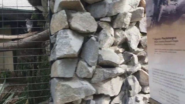 Древние руины инков в Куэнке смотреть онлайн