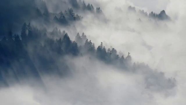 Как сказать человеку, что он воняет смотреть онлайн