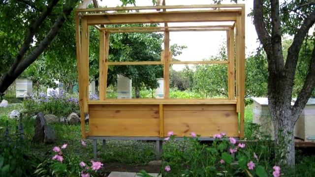 Апимодуль (апидомик)