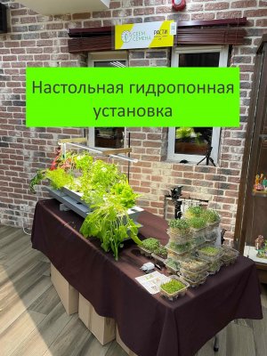Настольная гидропонная установка ХИТ ПРОДАЖ