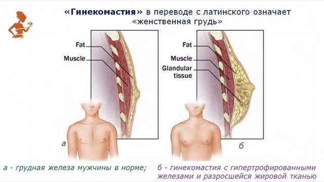 Тестостерон: гормон мужской судьбы смотреть онлайн