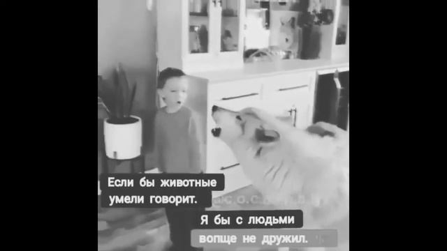 Подборка лучших, грустных цитат #12 Грустные,Смешные,Веселые Цитаты #12 смотреть онлайн