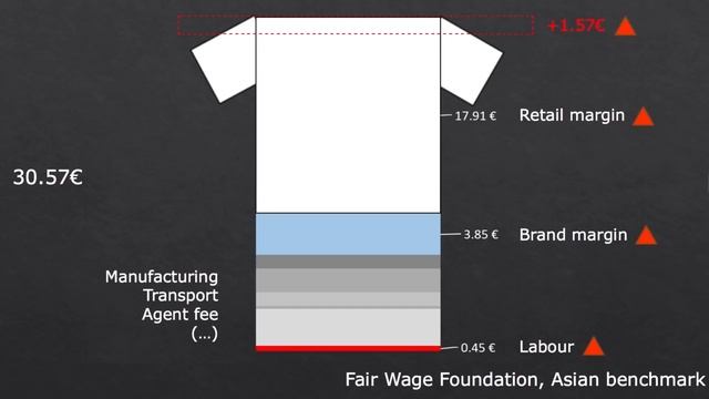 Fast fashion to fair fashion: a toolbox to change the fashion industry | TEDx Talk | Justine Lecont смотреть онлайн