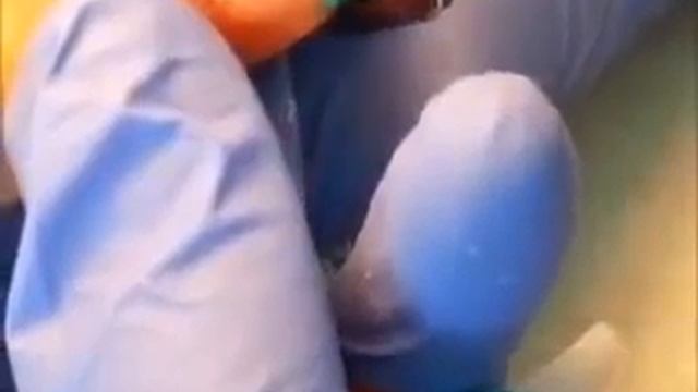 Довольно Ясные Акриловые, Самостоятельно Сделать Блеск Кончика Ногтей. смотреть онлайн