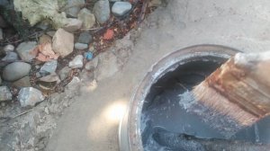 VID_20240903_093422.mp4