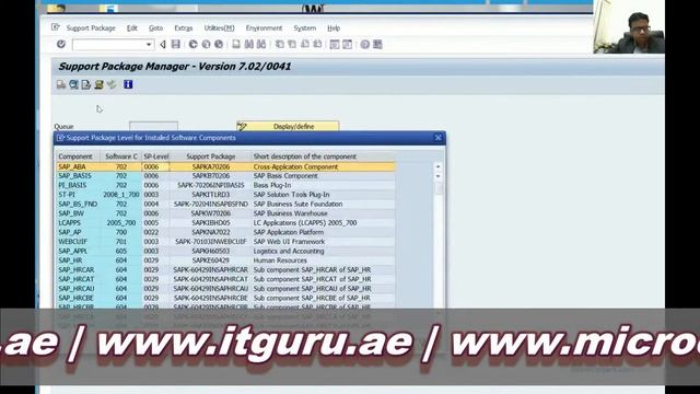 SAP Basis - SAP Support Patch Level смотреть онлайн