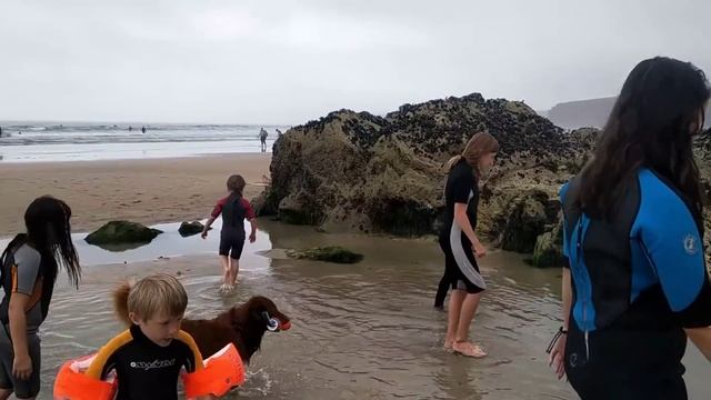 Newquay Купаемся под ДОЖДЁМ и готовим МИДИИ