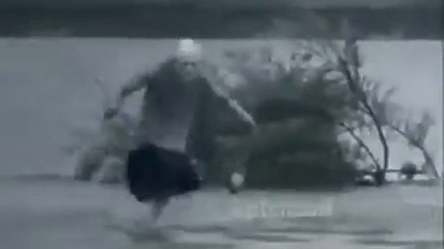 Недавно было замечено, некое существо в Чернобыле смотреть онлайн