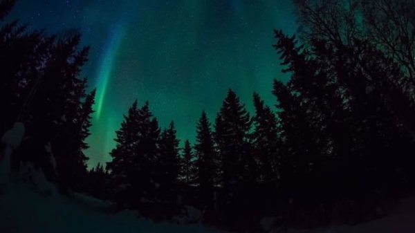 ODIN MEDITATION 1 Hour | Awakening of the King Archetype |