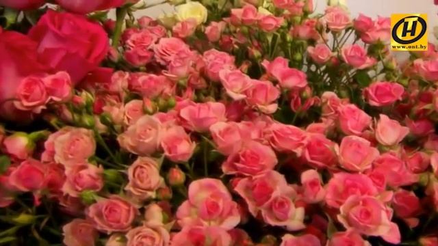 Как составить красивый букет? Секреты флористики смотреть онлайн