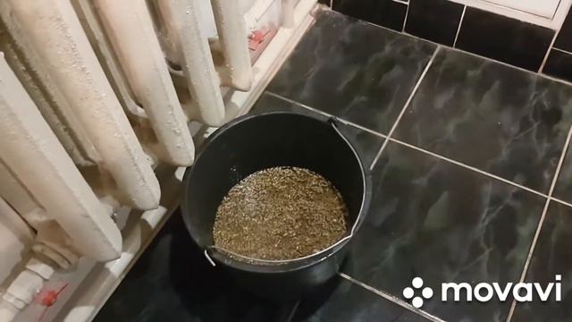 ПЛОХО НЕСУТСЯ КУРЫ? надо подкормить витаминами. смотреть онлайн