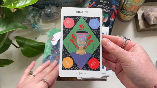 Oracle of Novice Witches ?♀️ Flip Through ? Witches, Familiars, Folklore, Divination Tools смотреть онлайн