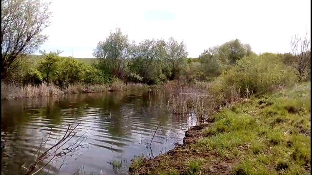 Мутный пруд. Котовский р-он, Волгоградская обл. смотреть онлайн
