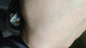 Киа Рио 3 установка резинки, сальник поршня заднего супорта.