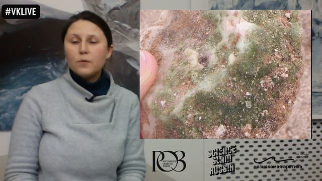 Елена Чуракова: "Цветущая Арктика" смотреть онлайн