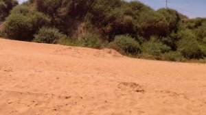 Краснодарский край / Кучугуры / Азовское море 2019