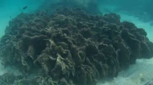 о. Фукуок снорклинг южные острова / Fukuok snorkeling