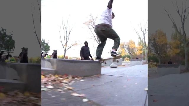 AP(Ariel Perl) Line at Eggs Boston Ma смотреть онлайн