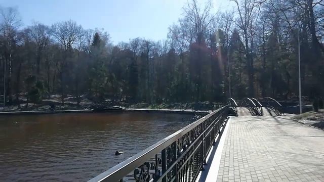 Калининградская область. Светлогорск. Озеро Тихое. смотреть онлайн