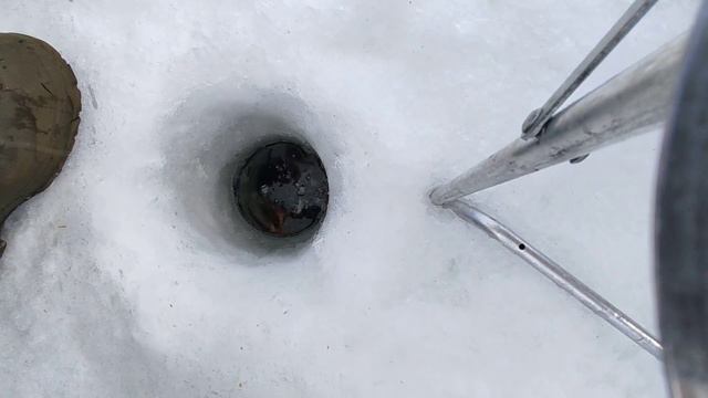 НА РЫБАЛКУ#рыбалка НА СИГА. с Дедушкой и бабушкой( 1 часть.) смотреть онлайн