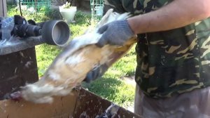 Как ощипать утку с помощью насадки