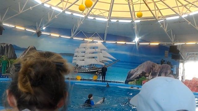 МИНСКИЙ ДЕЛЬФИНАРИЙ #Минск смотреть онлайн