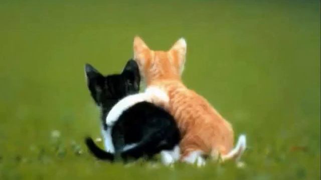 детские песенки когда мои друзья со мной смотреть онлайн