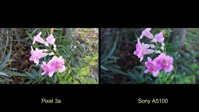 Pixel3a VS Sony A5100 kit lens 16-50mm смотреть онлайн