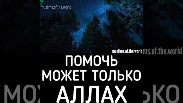 Помочь может только Аллах! смотреть онлайн