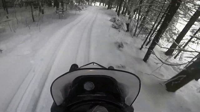 ❄️ПОКАТУШКИ по БОРУ // ТАЙГА ВАРЯГ 500❄️ смотреть онлайн