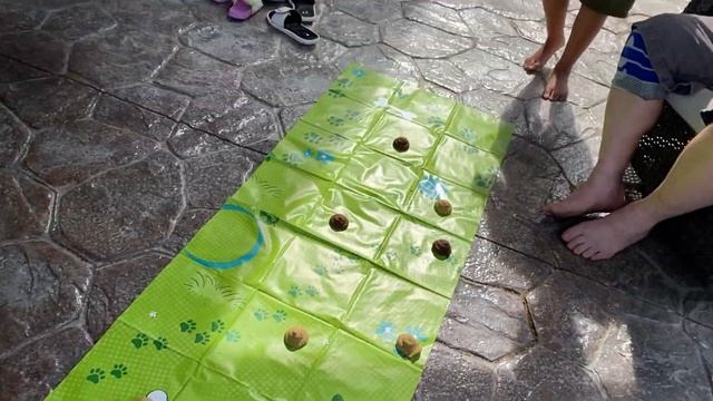 Family game / Don’t step in it!!! / The Hupp Crew USA смотреть онлайн